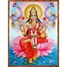 "Gaja Laxmi Lotus" T-Shirt